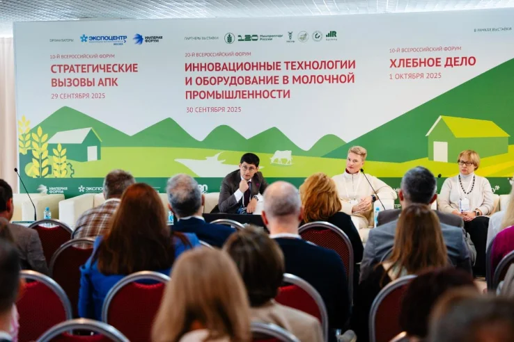 Нетворкинг участников